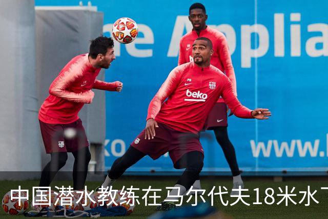 中国潜水教练在马尔代夫18米水下遭3人拉拽：先后被脚踢、抓手臂、抓脸，潜水呼吸调节器和面镜差点被摘掉；涉事船宿方：已提交调查