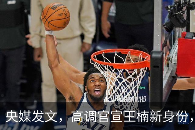 央媒发文，高调官宣王楠新身份，资产查封被带走调查传闻早有真相
