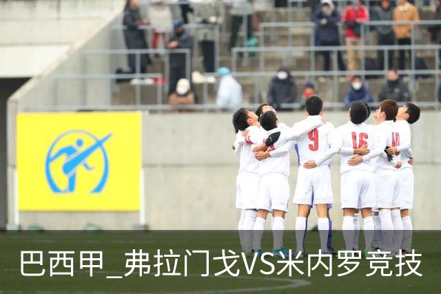巴西甲 弗拉门戈VS米内罗竞技