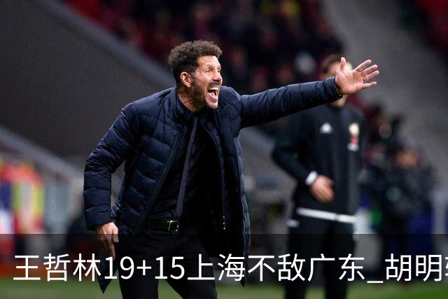 王哲林19+15上海不敌广东 胡明轩20分徐杰15+6