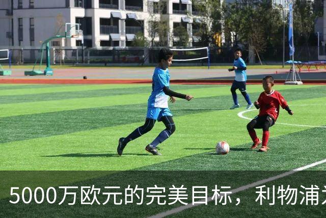 5000万欧元的完美目标，利物浦为何被曝缺席争夺
